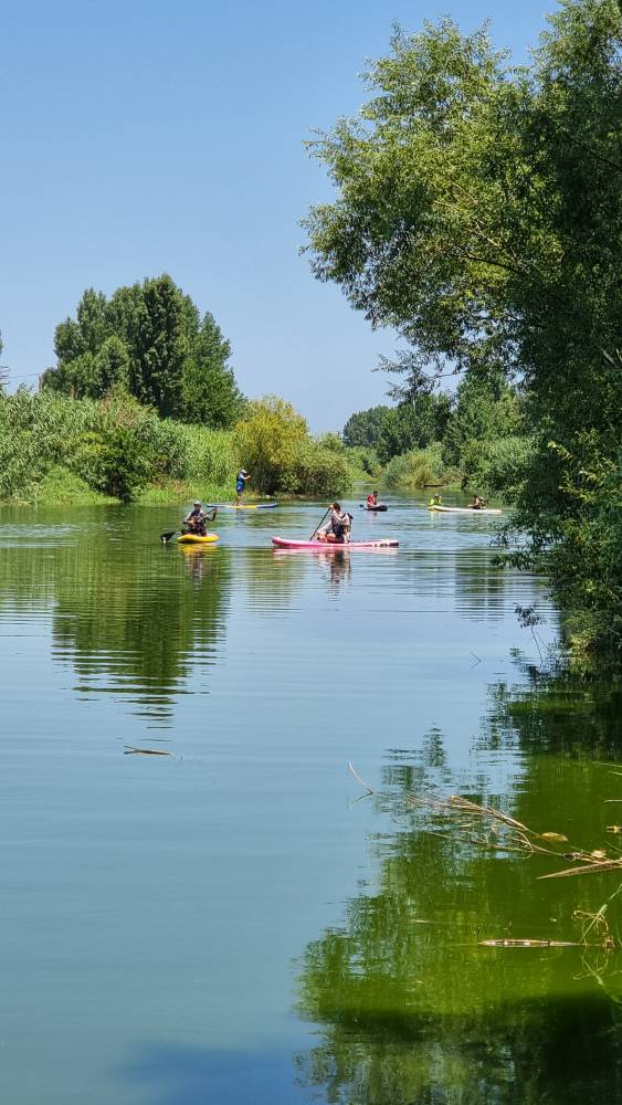 پدل بورد مازندران